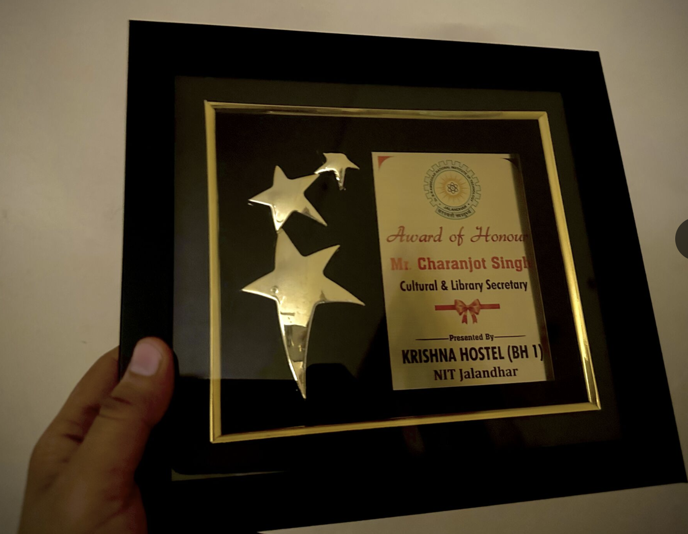 Excellence Award